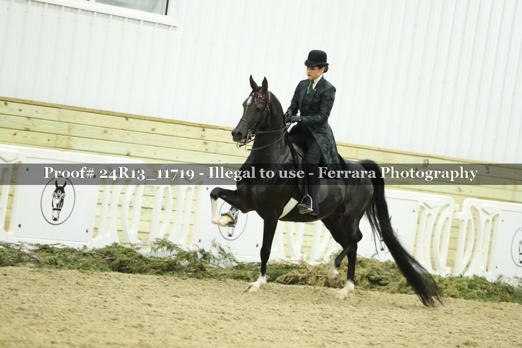 Proof Number 24R13_11719