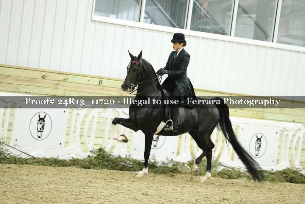 Proof Number 24R13_11720