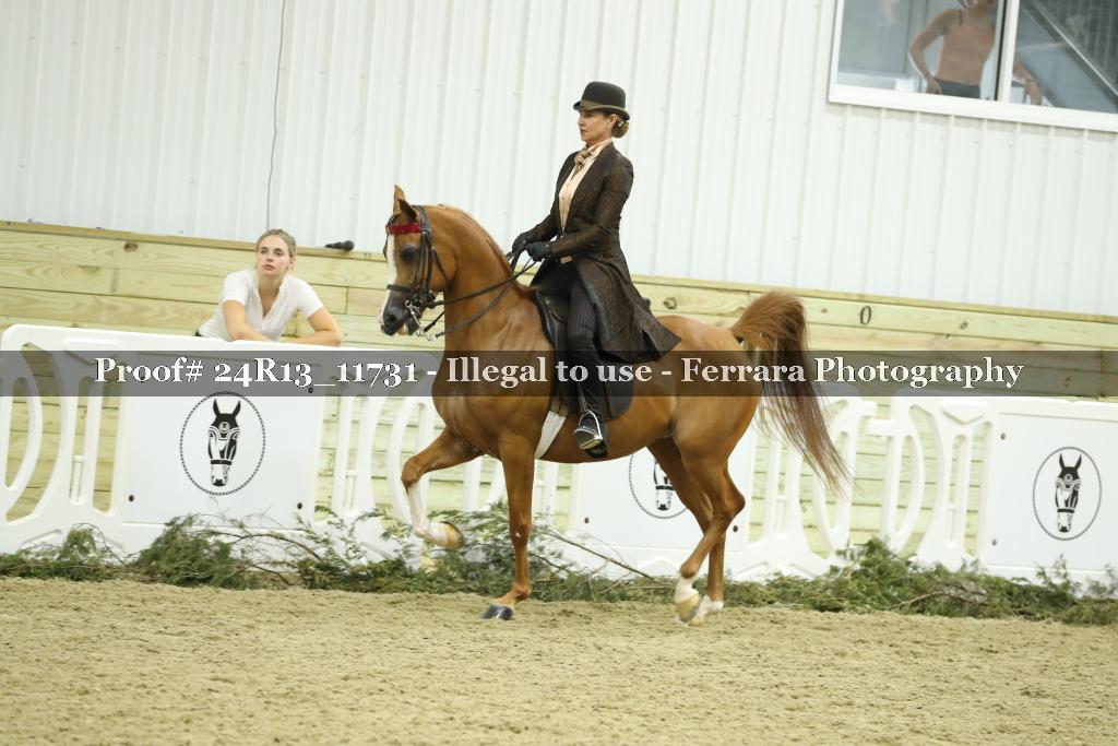 Proof Number 24R13_11731