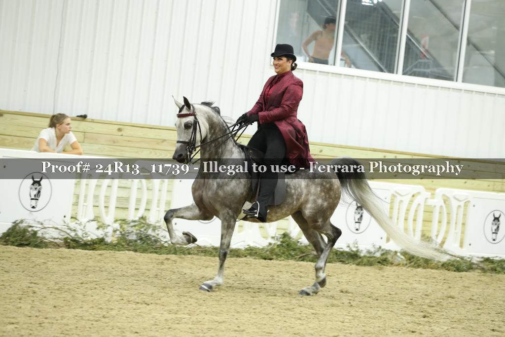 Proof Number 24R13_11739