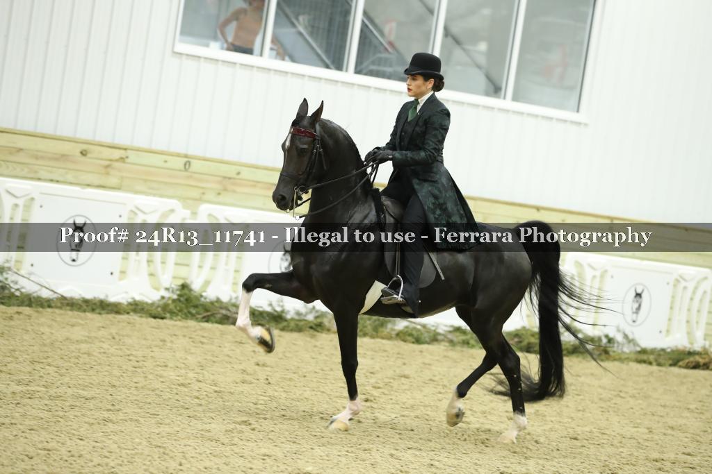 Proof Number 24R13_11741