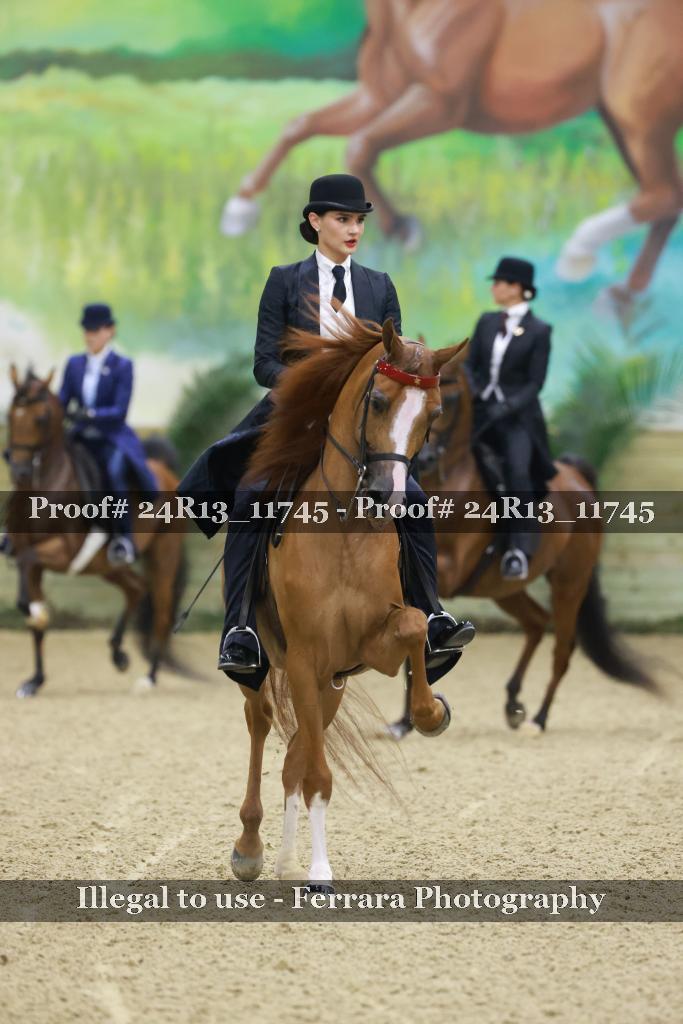 Proof Number 24R13_11745