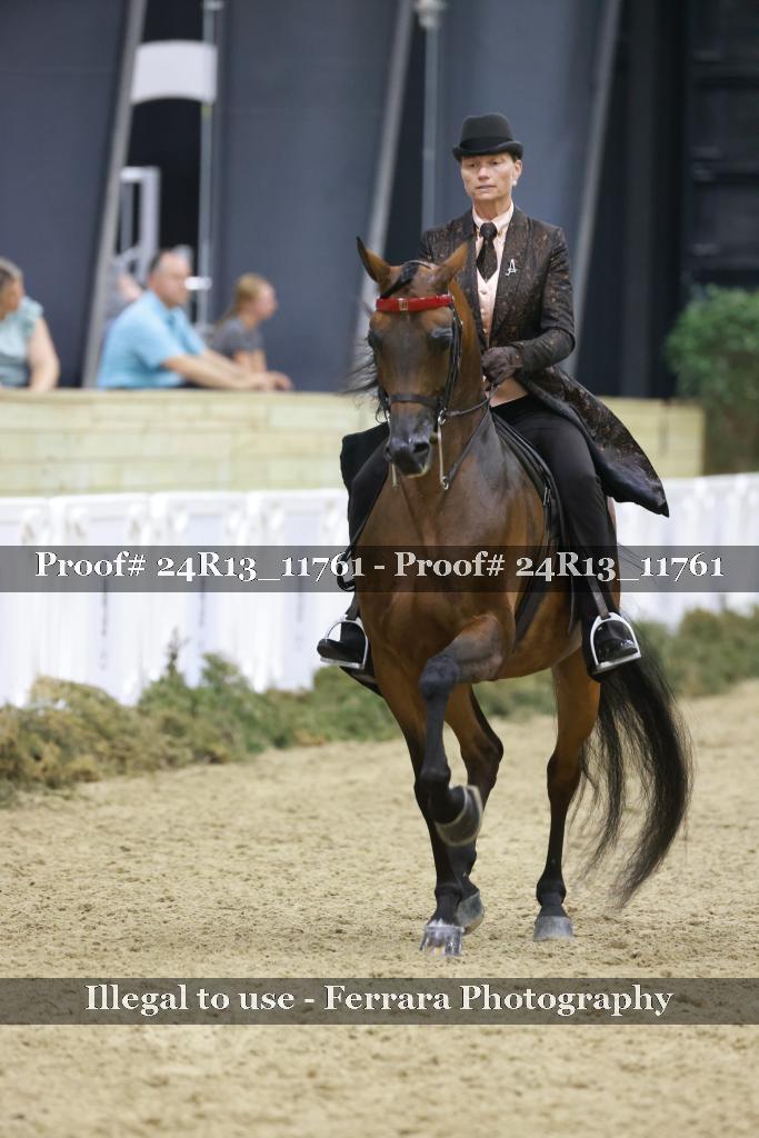 Proof Number 24R13_11761