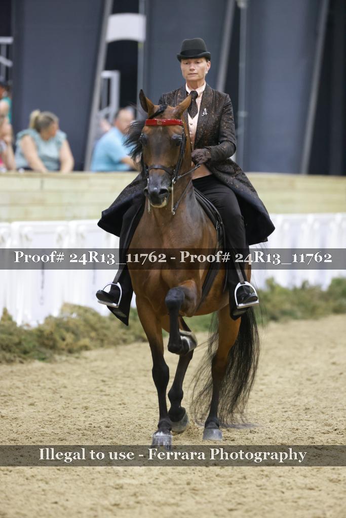 Proof Number 24R13_11762