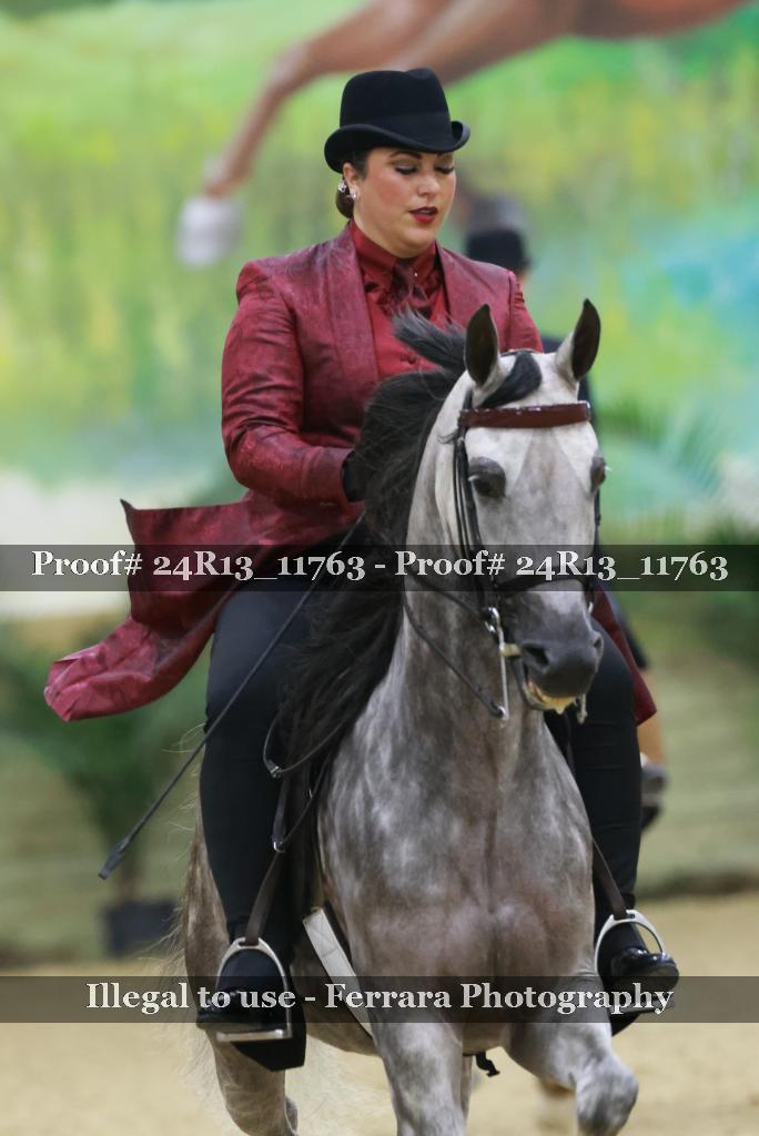 Proof Number 24R13_11763
