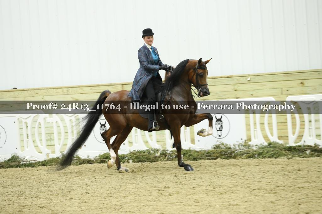 Proof Number 24R13_11764
