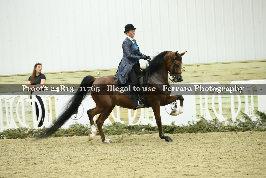 Proof Number 24R13_11765