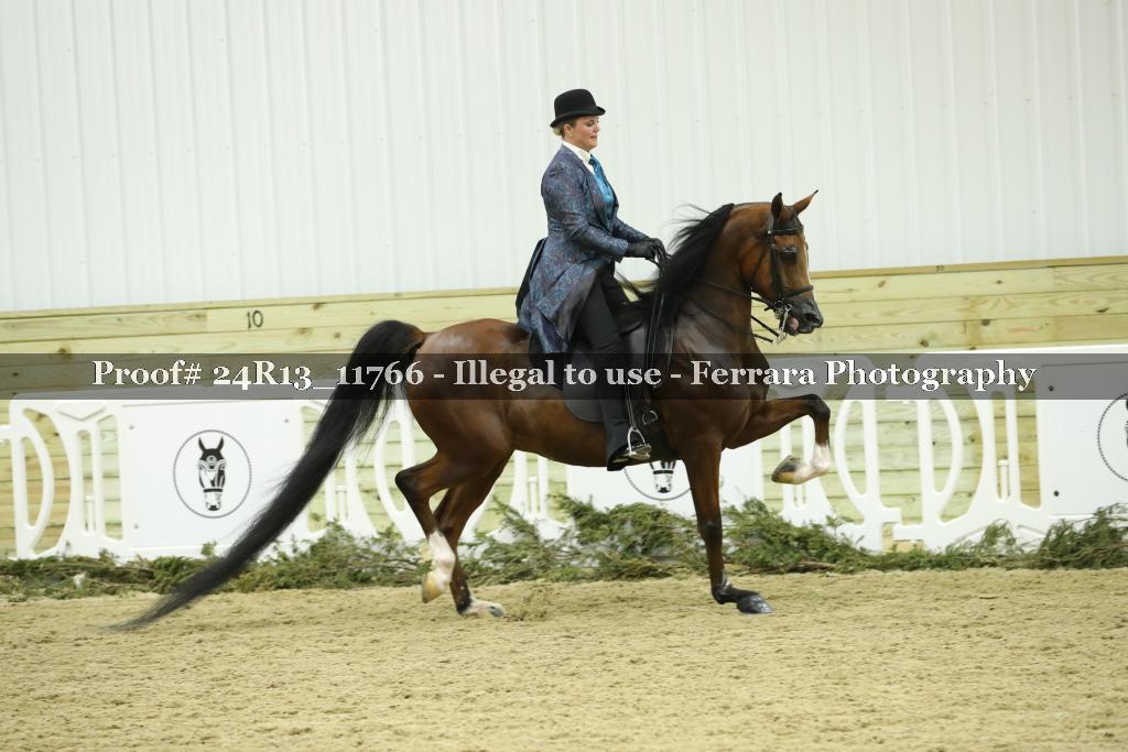 Proof Number 24R13_11766