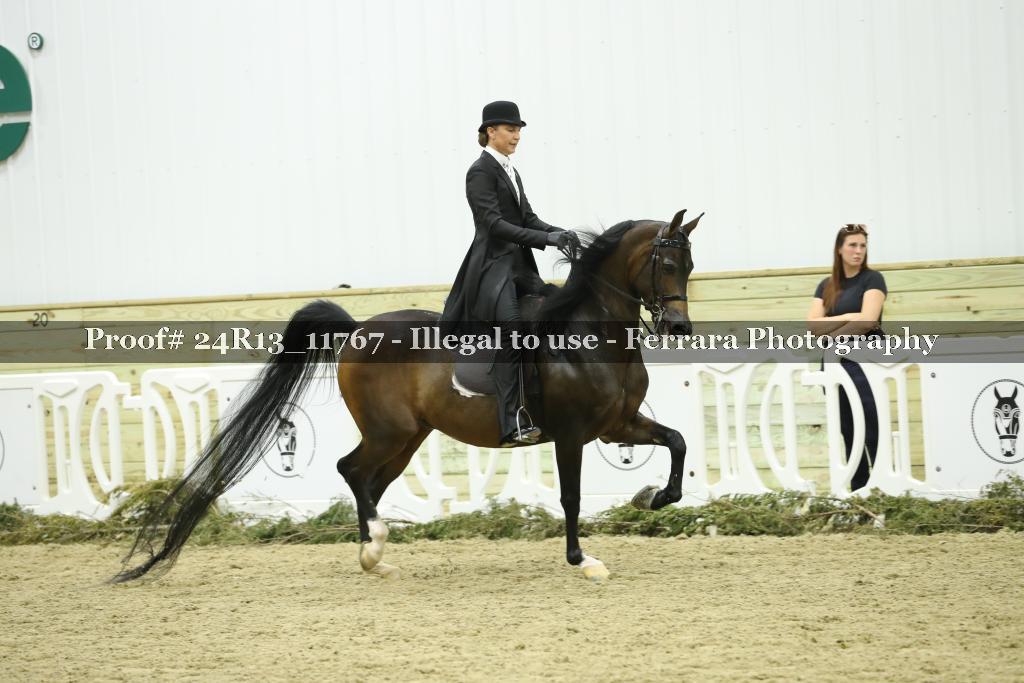 Proof Number 24R13_11767