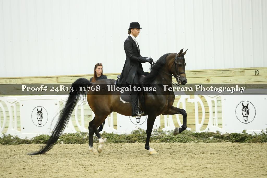 Proof Number 24R13_11768