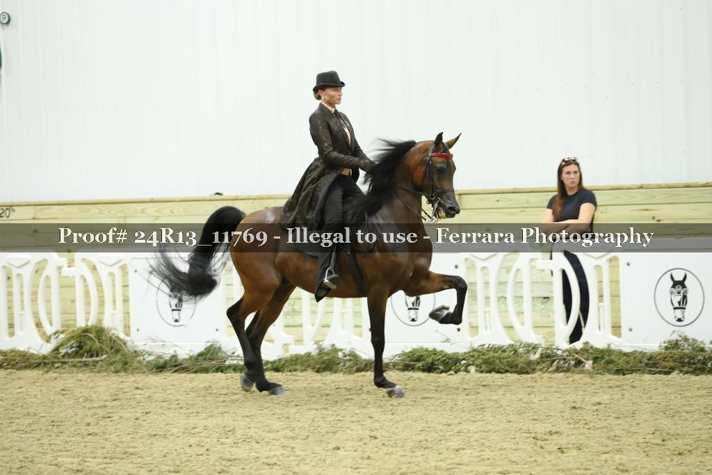 Proof Number 24R13_11769