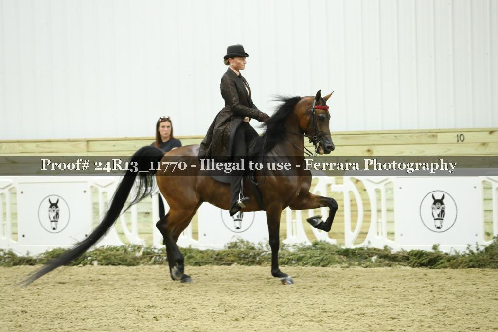 Proof Number 24R13_11770