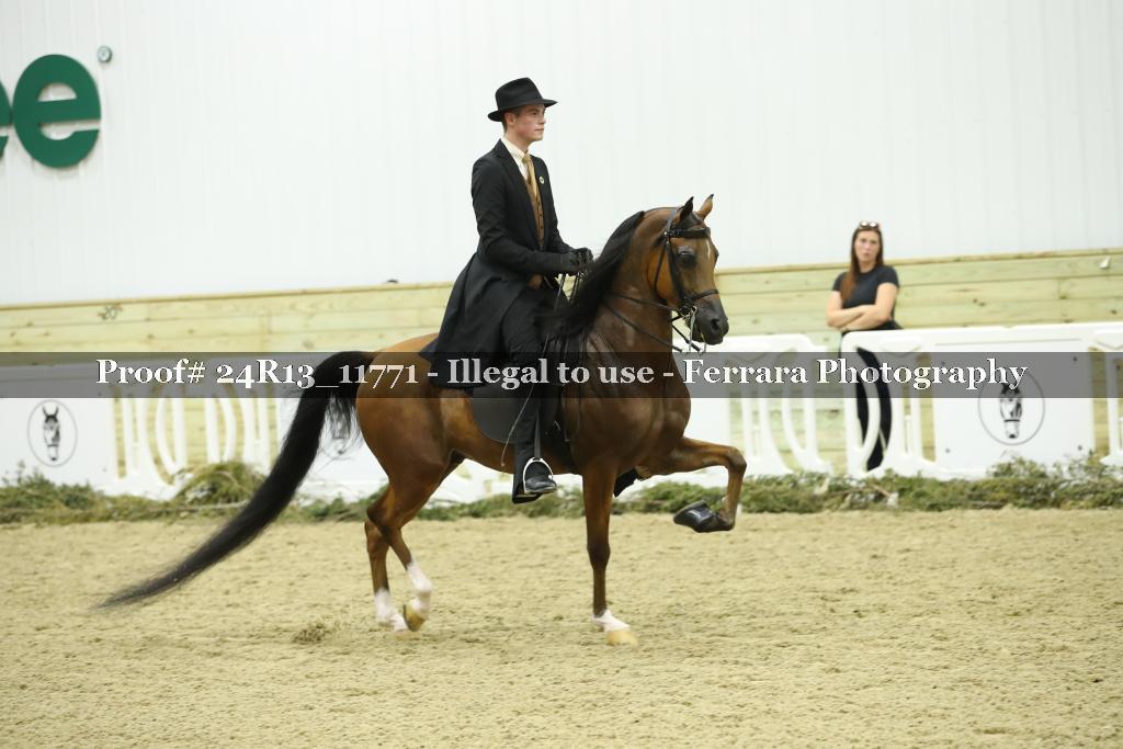 Proof Number 24R13_11771