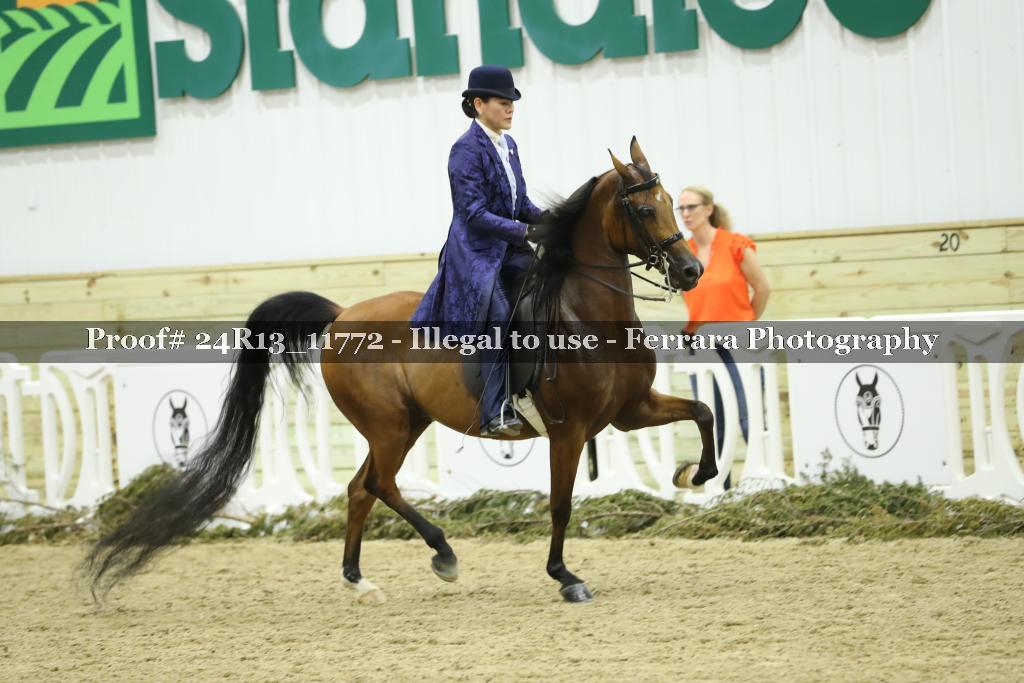 Proof Number 24R13_11772