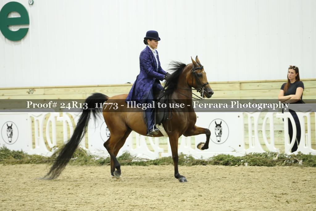 Proof Number 24R13_11773