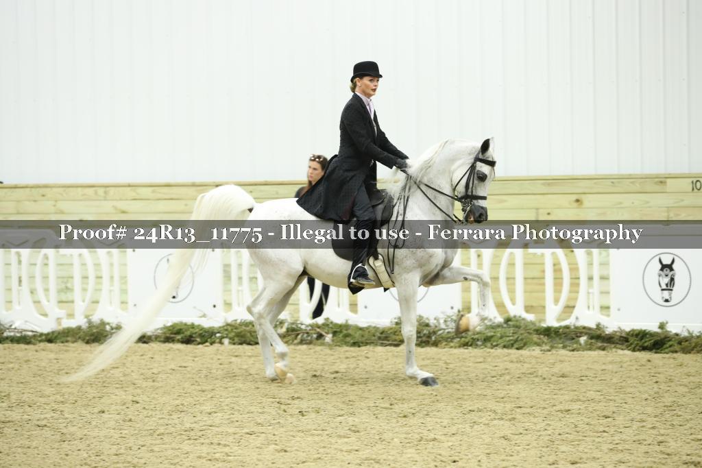 Proof Number 24R13_11775