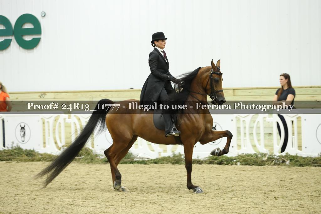 Proof Number 24R13_11777
