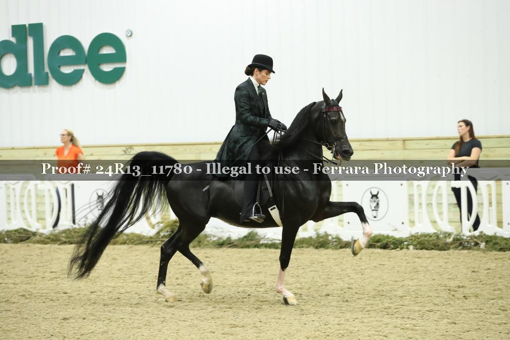 Proof Number 24R13_11780