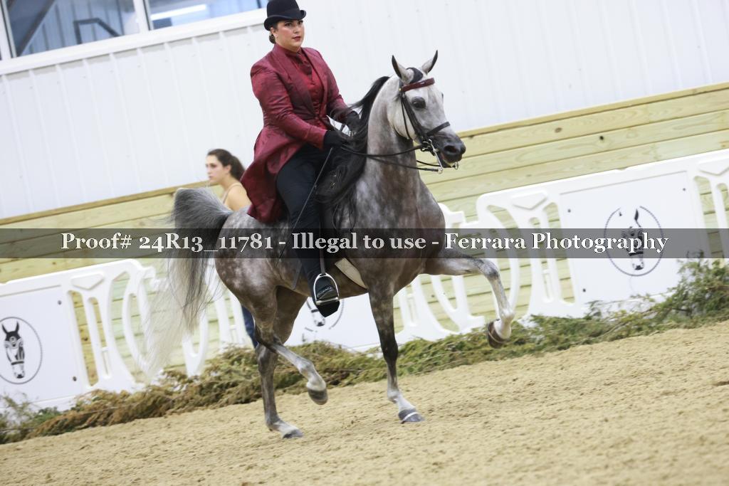 Proof Number 24R13_11781