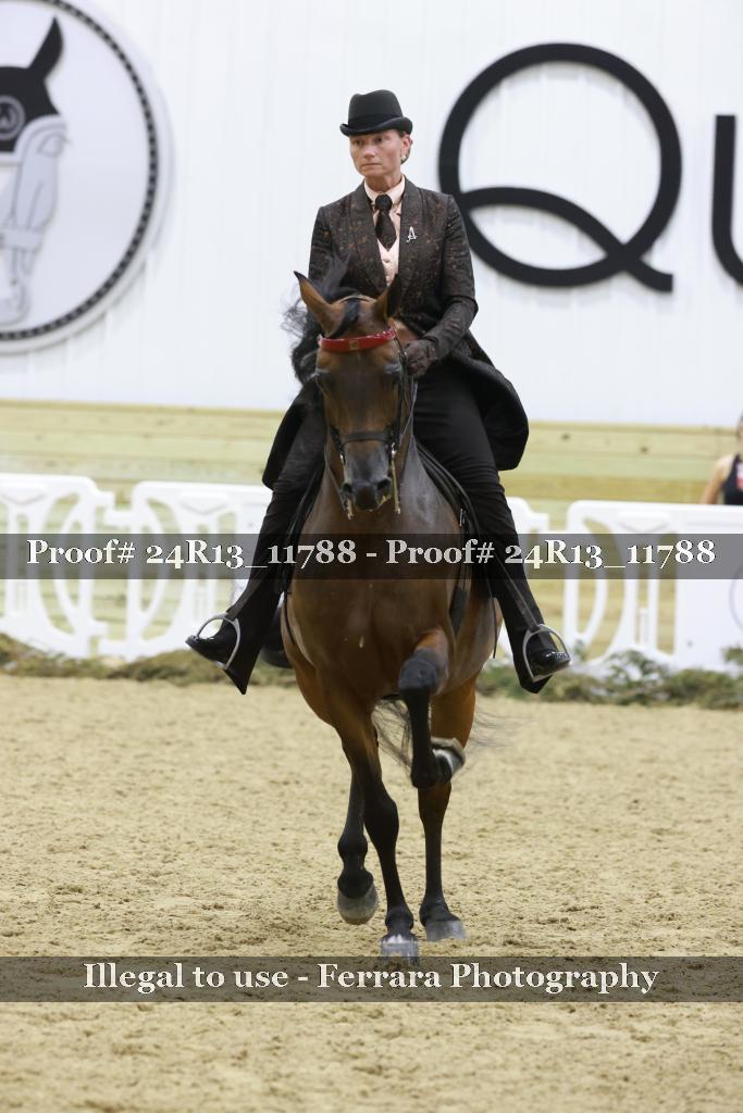 Proof Number 24R13_11788
