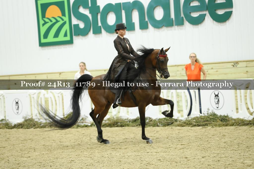 Proof Number 24R13_11789