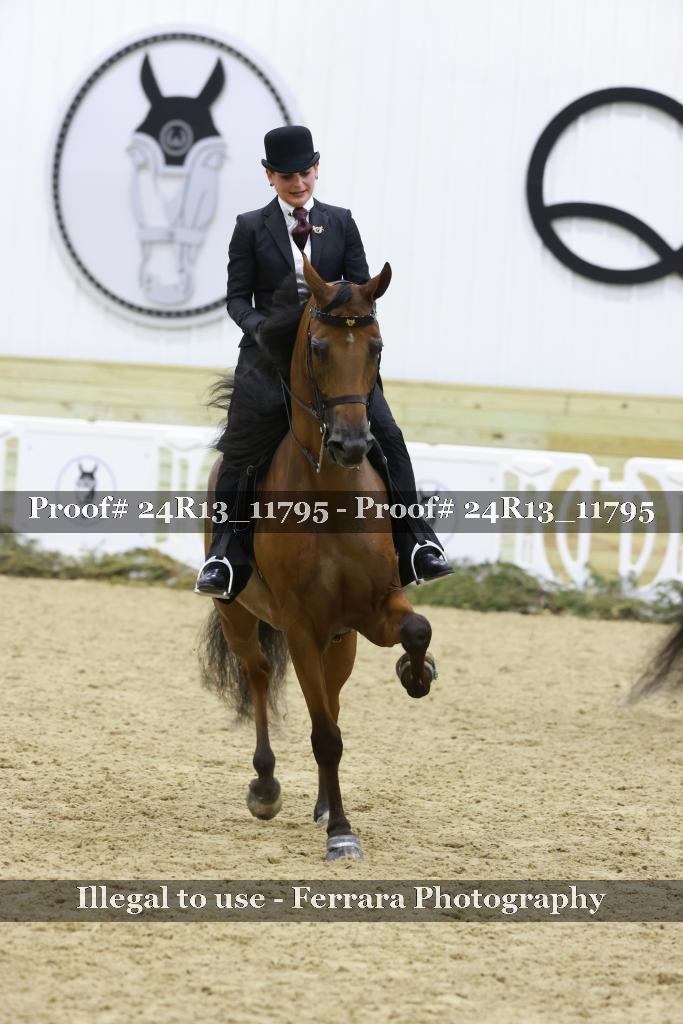 Proof Number 24R13_11795
