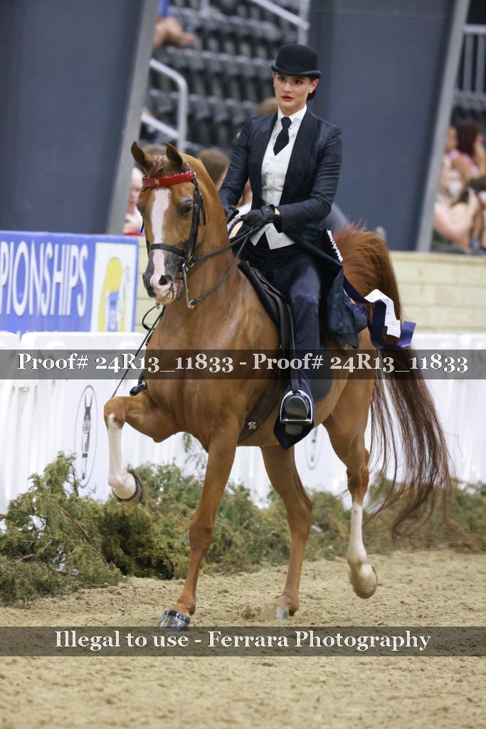 Proof Number 24R13_11833