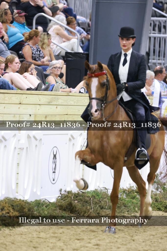 Proof Number 24R13_11836