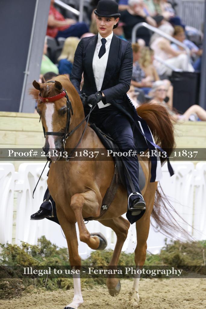 Proof Number 24R13_11837