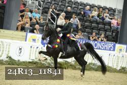 24R13_11841 thumbnail