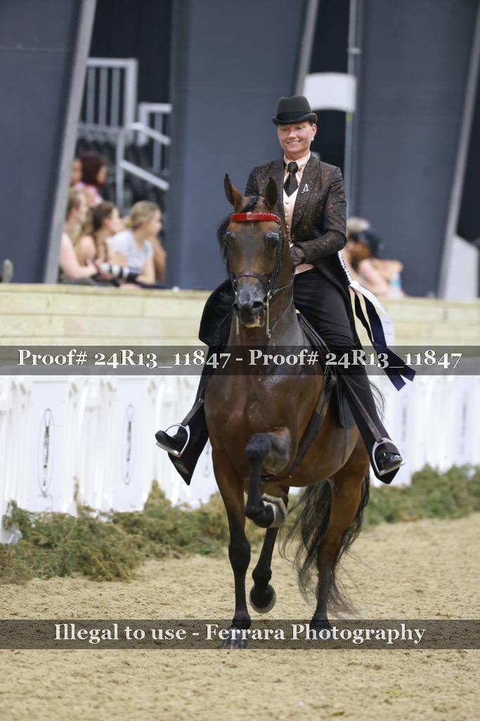 Proof Number 24R13_11847