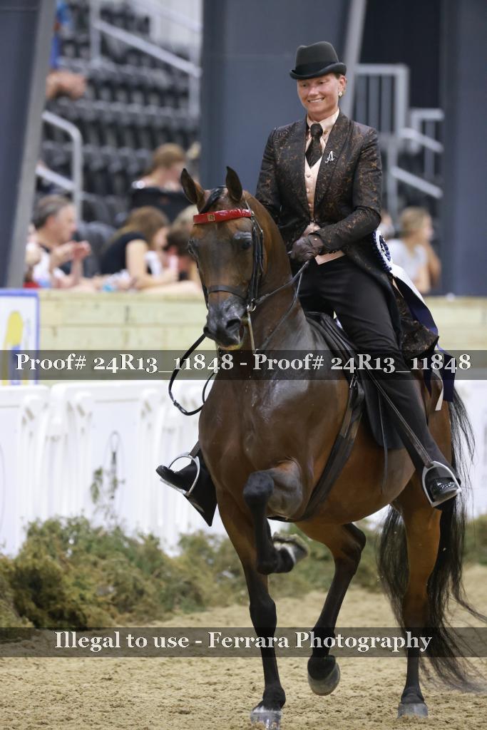 Proof Number 24R13_11848