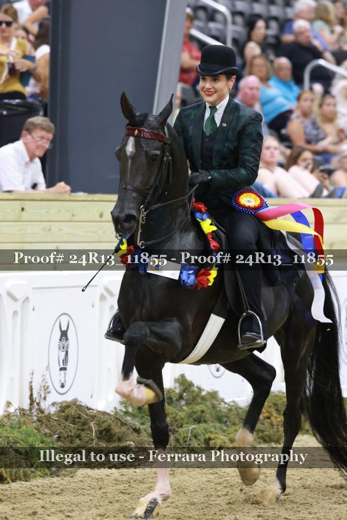 Proof Number 24R13_11855