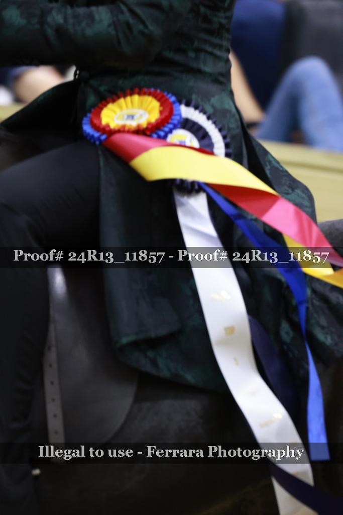 Proof Number 24R13_11857
