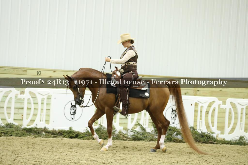 Proof Number 24R13_11971
