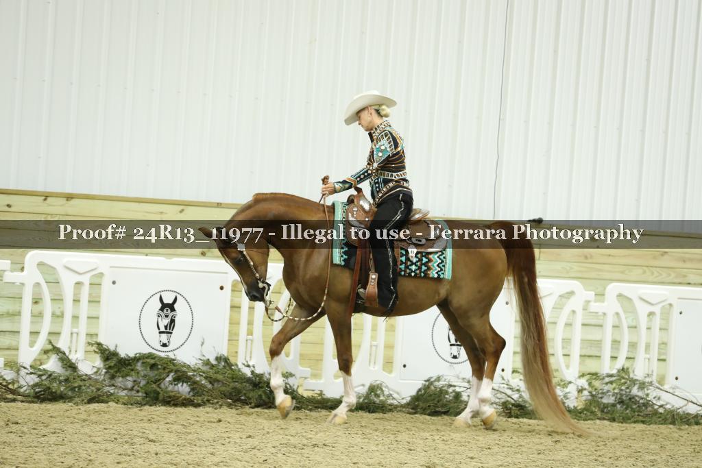 Proof Number 24R13_11977
