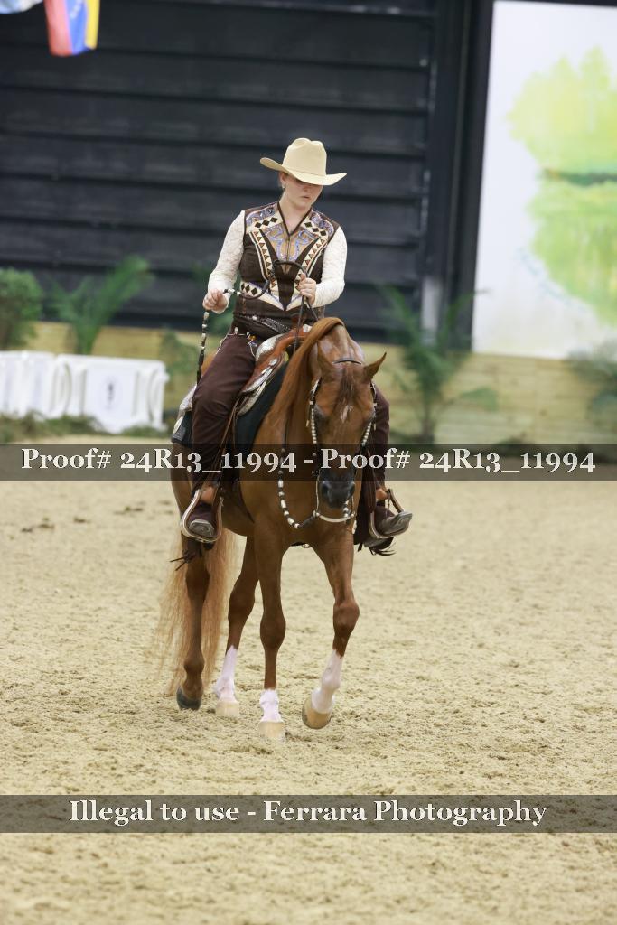 Proof Number 24R13_11994
