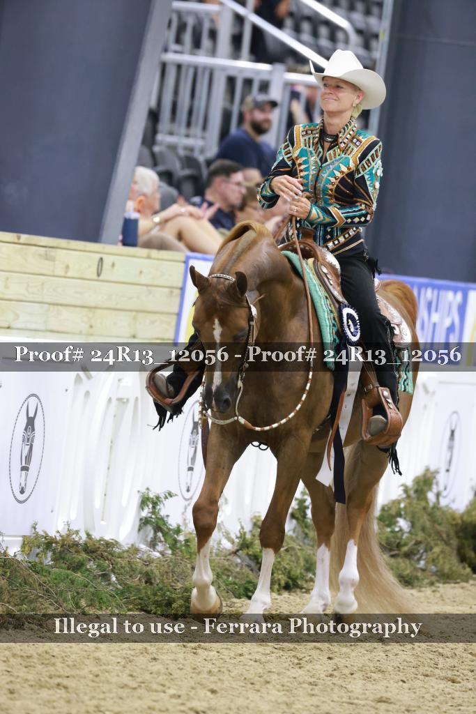 Proof Number 24R13_12056