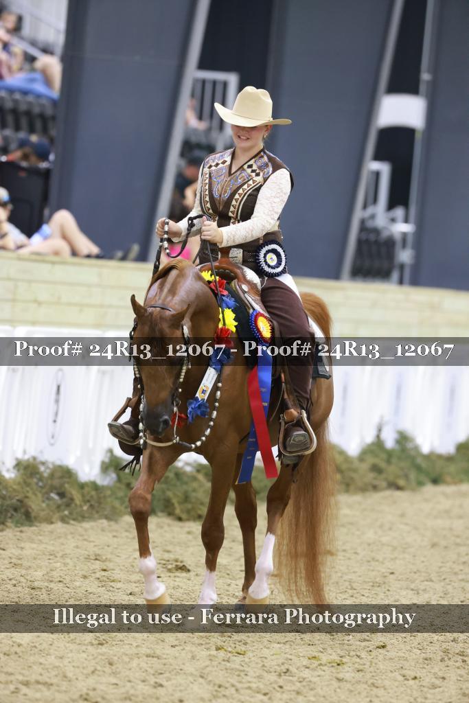 Proof Number 24R13_12067