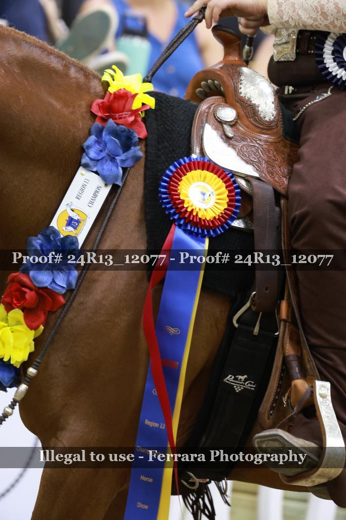 Proof Number 24R13_12077