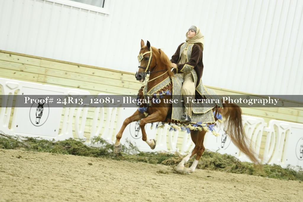 Proof Number 24R13_12081