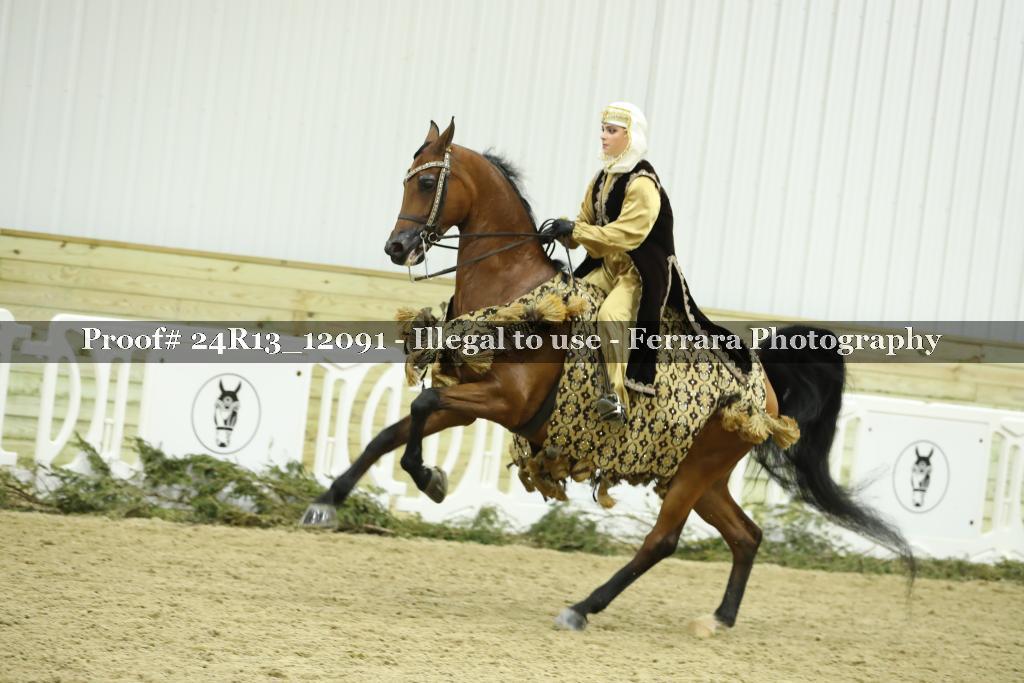 Proof Number 24R13_12091