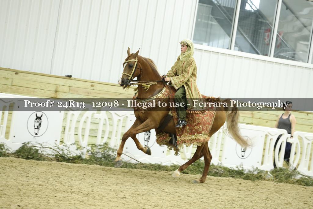 Proof Number 24R13_12098