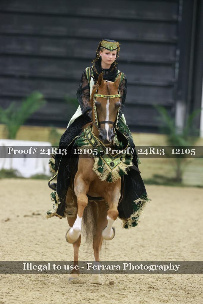 Proof Number 24R13_12105