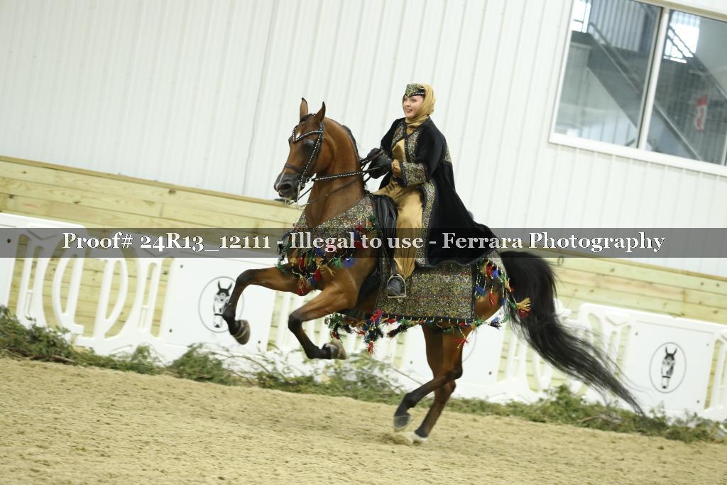 Proof Number 24R13_12111