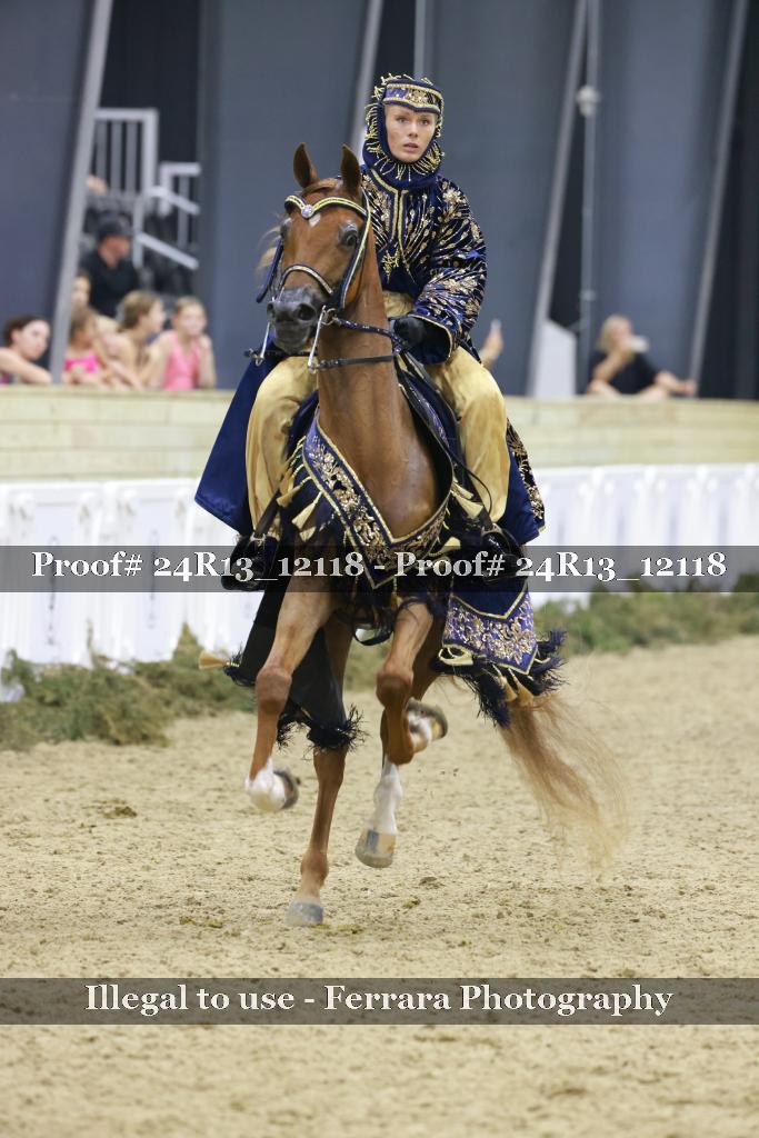 Proof Number 24R13_12118