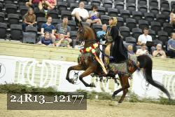 24R13_12177 thumbnail