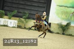 24R13_12182 thumbnail