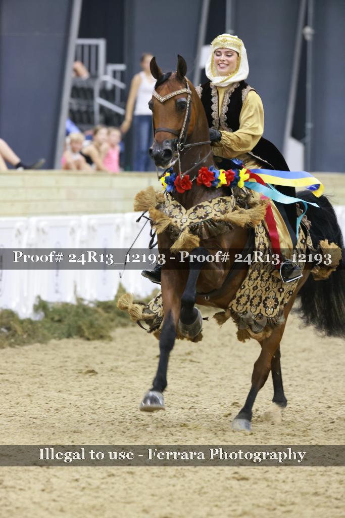 Proof Number 24R13_12193