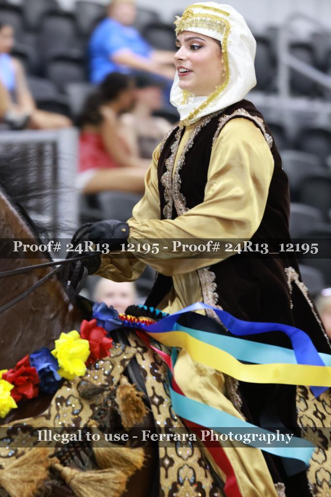 Proof Number 24R13_12195